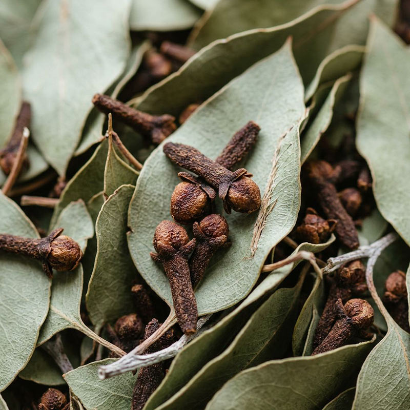 Eucalyptus & Clove Diffuser Oil ยท No. 070