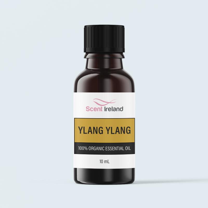 Organic ylang ylang essential oil 10ml dropper bottle for aromatherapy