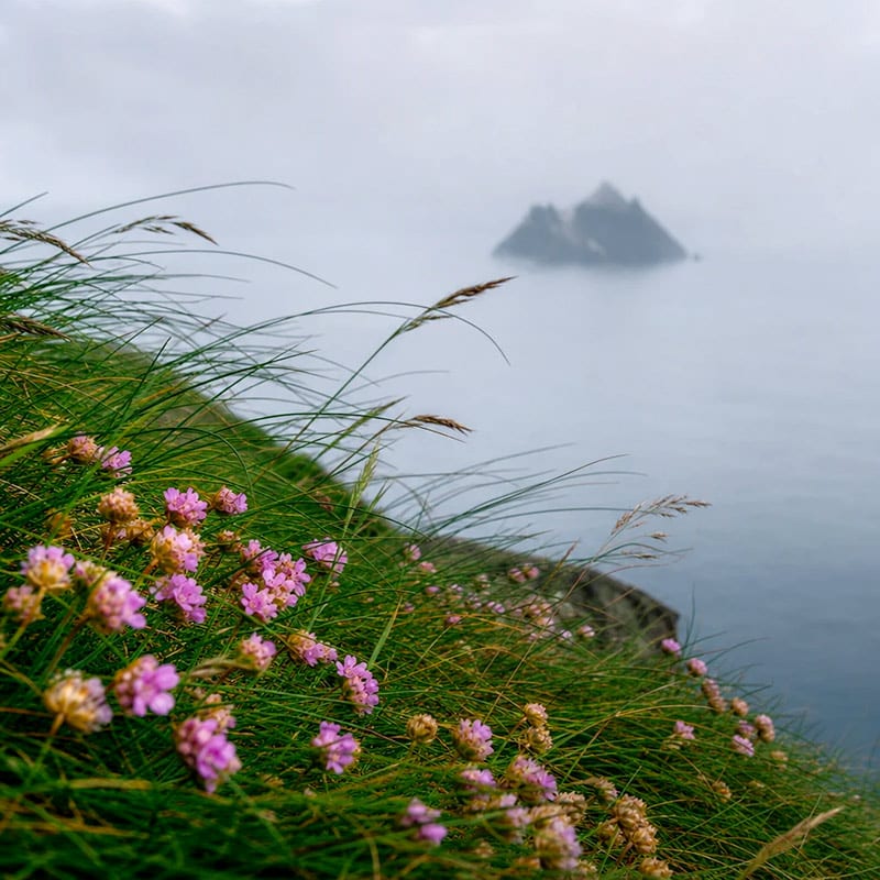 Skellig Breeze Diffuser Oil · No. 301
