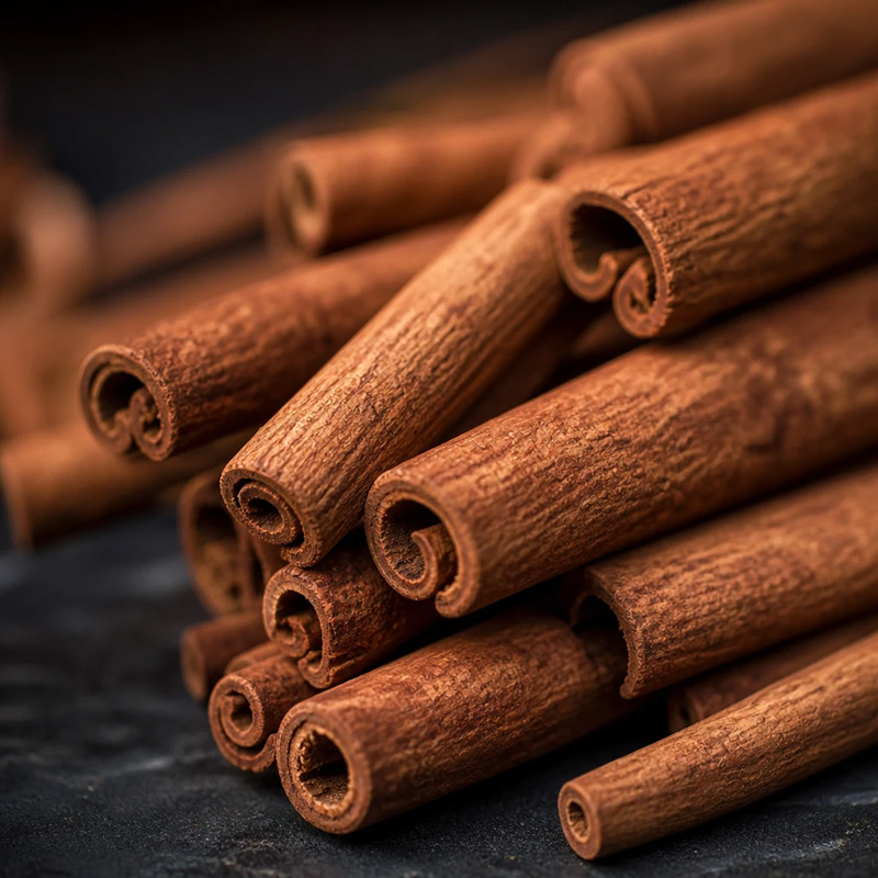 Cinnamon Bark Diffuser Oil · No. 316
