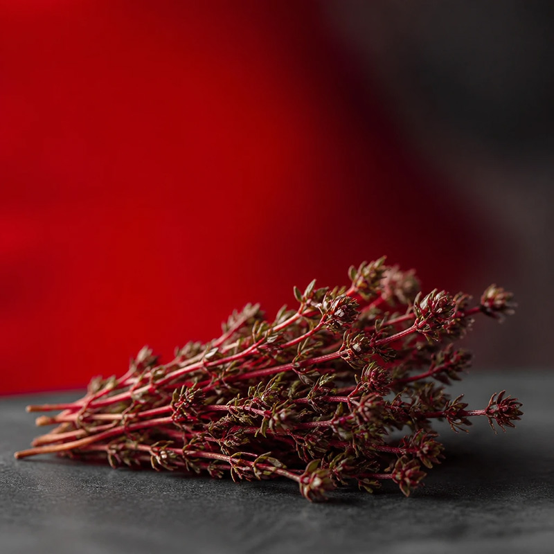 Red Thyme Diffuser Oil · No. 115