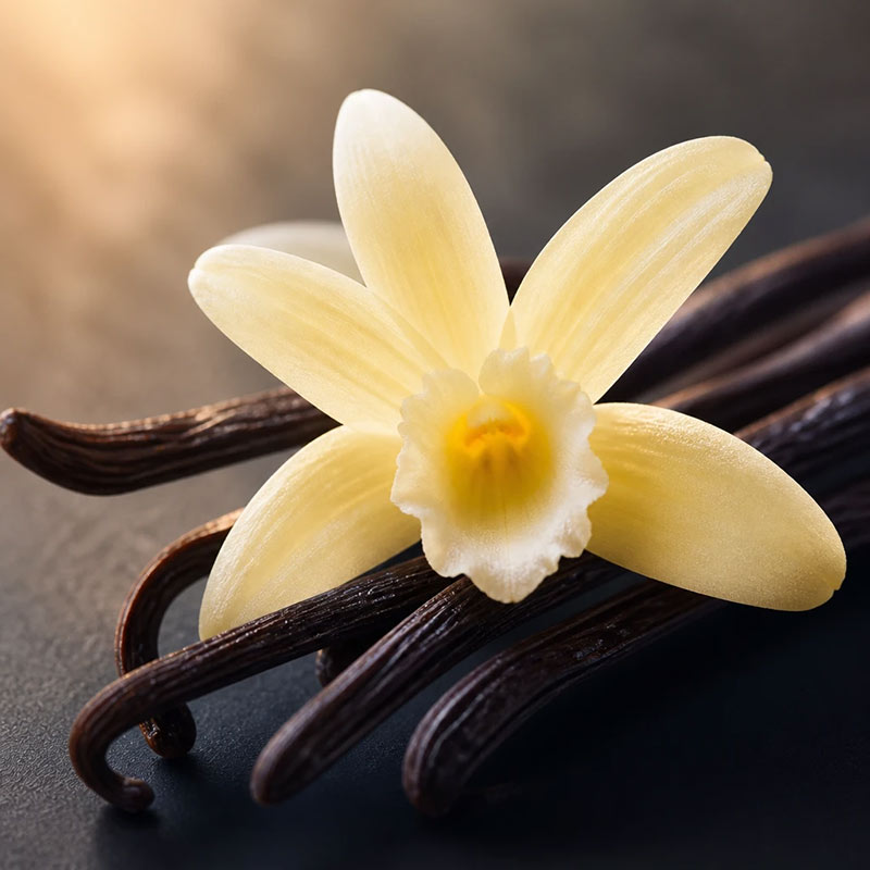 Vanilla Diffuser Oil · No. 133