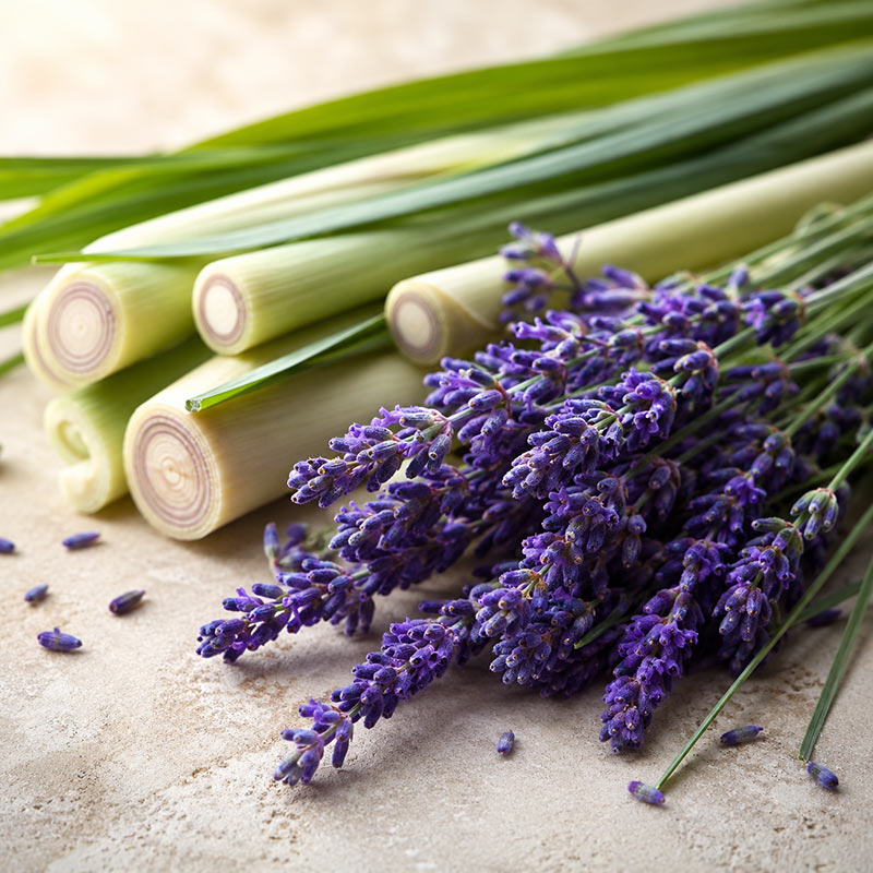 Lavender and Lemongrass Scent Diffuser Oil for electric home fragrance diffusers
