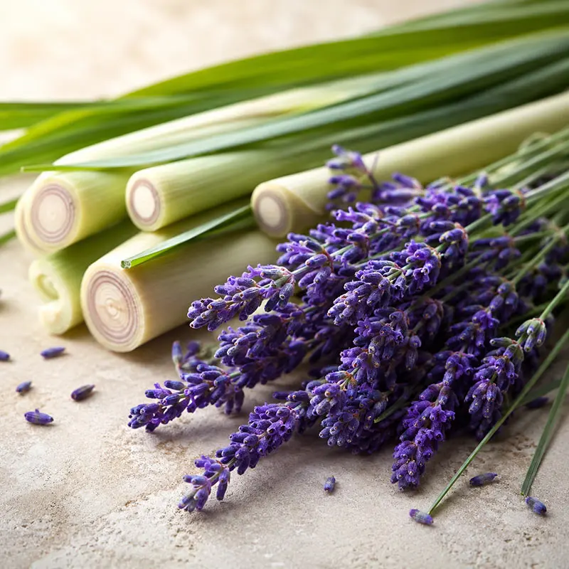Lavender and Lemongrass Scent Diffuser Oil for electric home fragrance diffusers