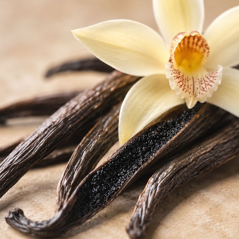Madagascan Vanilla diffuser oil with vanilla pods and vanilla flower